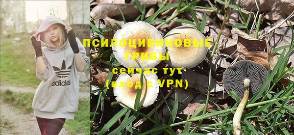 гидра Вязники