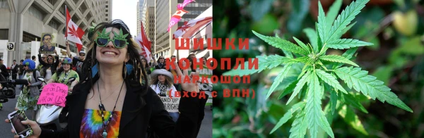 гидра Вязники