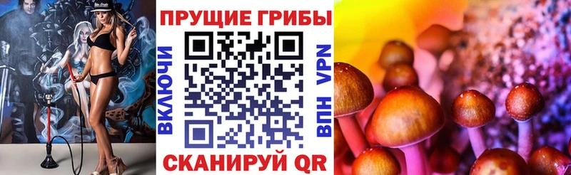Псилоцибиновые грибы мухоморы  купить наркоту  Армавир 
